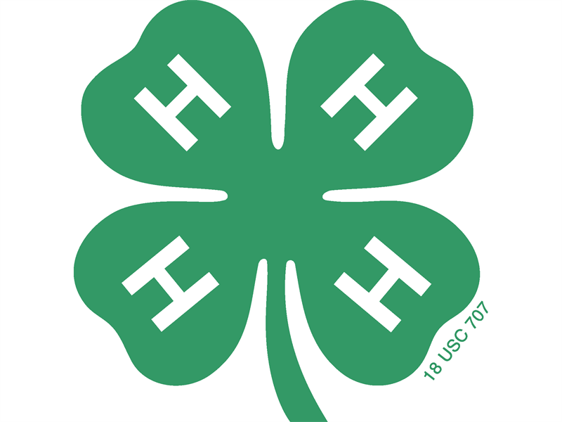 Logo for 2026 District 5 Horse Shows